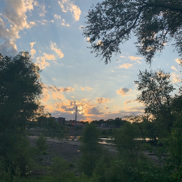 Meet your Posher, Maggie - Picture 1 of 1